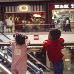 Cover Image for The American Shopping Mall